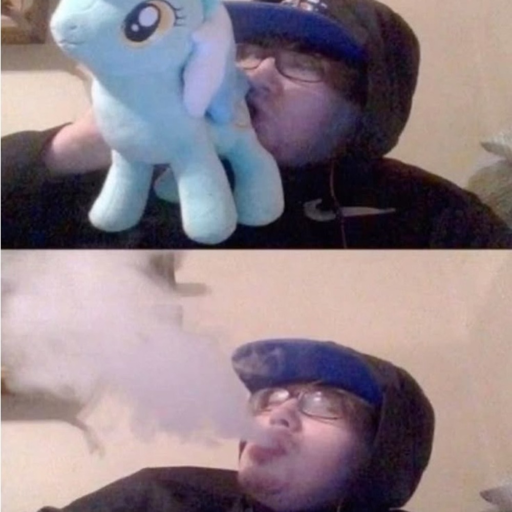 Meet your Posher, Dylan